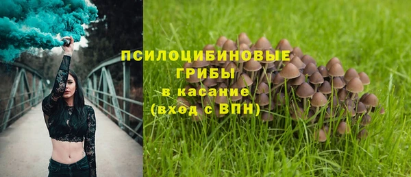 бутират Богородск