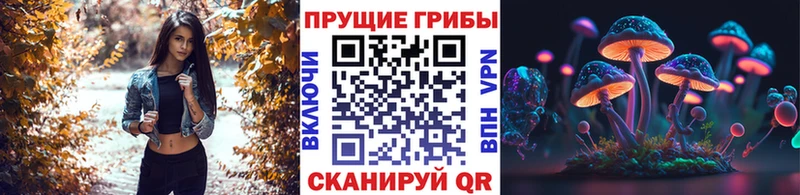 сайты даркнета состав  omg вход  Берёзовский  Псилоцибиновые грибы прущие грибы 